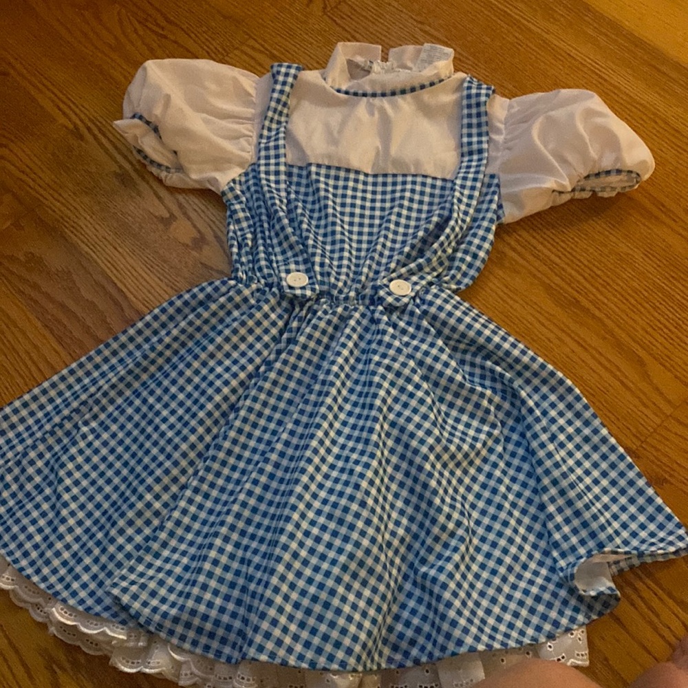Dorothy costume